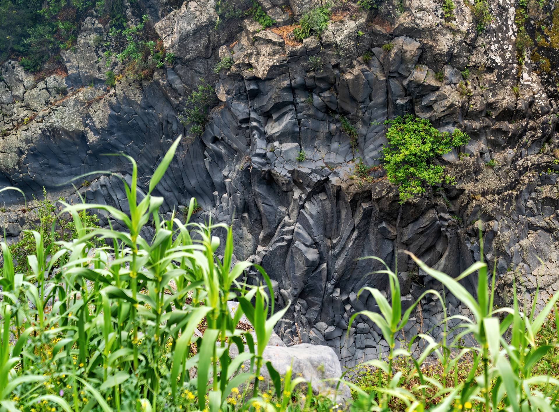 Gole dell'Alcantara (Parco Botanico e Geologico) in Motta Camastra